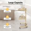2-Tier Metal Rolling Cart, Gold Salon Instrument Trolley Rolling Stainless Steel Cart Tray w/ 4 Wheels, for Hair Stylist, Hairdresser, Beauty view 3