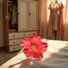 GANPUB 1Pc Red Hawaiian Flower Hair Clip for Women Girls, Fashion Bohemian Flowers Hair Accessory for Dancer, Bridal Wedding Beach Party view 4