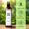 Majestic Pure 100% Pure Tea Tree Oil For Hair Growth - Strengthening, Nourishing, Volumizing - Infused with Jojoba Oil & Grapeseed Oil - Non GMO Verified - 6.7 Fl Oz view 2