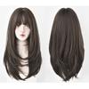 Straight Hair with Air Bangs Machine Made Synthetic for Woman For Hair Loss 65cm /26inch, Long Straight Wigs for Women (Brown) view 1