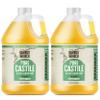 BAMBOO AND BIRCH Pure Castile Soap Liquid, Certified Palm Oil Free Natural Soap, Peppermint, 1 Gallon view 1