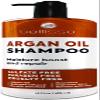 Argan Oil Shampoo - Sulfate Free with No Parabens - Moroccan Botanicals for Women and Men - Professional Moisturizing, Anti Frizz, Hydrating Solution for Dry, Wavy, Curly and Color Treated Hair view 1