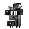 CNCEST Beauty Salon Luggage, Rolling Lockable Hair Stylist Travel Case Hairdressing Trolley Stylist Beauty Salon Cosmetic Luggage Travel Organizer Tool Box with Hair Dryer Holder view 1