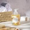 ROMIIE ZOI Foaming Hand Soap with Gift Box-Honey & Almond - Biodegradable Formula Moisture & Revitalize - 500 ml/ 16.8 fl oz view 4