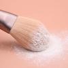 12 Makeup Brush Set Full Set Of Loose Powder Brush Beauty Tools Eye Shadow Brush Blush Brush view 4