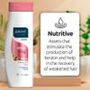 ABOVE Nutritive Shampoo, 4 pcs - Biotin Shampoo - Hair Thickening Shampoo - Hydrates, Nourishes and Boosts Keratin Production - Safe for Colored Hair view 3
