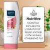 ABOVE Nutritive Conditioner, 4 pcs - Hair Conditioner with Biotin - Strengthen and Revive Hair - Keratin Hair Booster - Conditioner for Colored Hair view 3