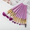 Professional 10pcs 3D Makeup Brushes set Gradient Fan Powder Foundation Brush Eyeshaow Brush kit view 2