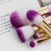 Professional 10pcs 3D Makeup Brushes set Gradient Fan Powder Foundation Brush Eyeshaow Brush kit view 3