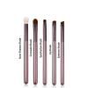 5pcs/set Eyeshadow Makeup Brushes Set Professional Eye Shadow Makeup Brush Kits Eyeshadow Eyeliner Blending Eyebrow view 2