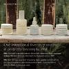 Oak Essentials The Routine At-Home Facial Gift Set | 5-Step Anti-Aging Skincare Routine with Blue Tansy Oil, Cleansing Balm & Face Mask view 4