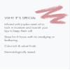Sweed - Lip Liner Pencil | Color-Rich, Smudge + Feathering-Free | Jojoba Seed Oil to Moisturize + Nourish | Vegan, Cruelty-Free, Clean Beauty (Dream Bigger) view 4