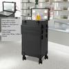 CNCEST Rolling Makeup Train Case Trolley with Adjustable LED Light,Studio Mirror Touch Screen 3000K-6000K Cosmetic Storage Lockable Makeup Artist Nail Organizer (5layer) view 2