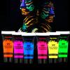 Depvision Glow in the Dark UV Face and Body Paint 6*10ml Neon Blacklight 0.34oz Reactive Fluorescent for Christmas Halloween Party Non-toxic view 1
