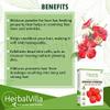 Hibiscus Powder for Hair Growth and Face Pack - 200 Grams view 3