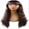 OrBheS Wigs Ms. Fashion Wig Repair face Fluffy Corn hot Long Curly Hair Wig Beautiful Long Wavy Harajuku Style Cosplay Wig (Color : Deep Brown) view 1