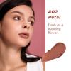 ITY Velvet Matte Finish Lip Stain-Mousse Textured Lip Clay, Conceals Lip Lines, Rich Pigment Lip Tint Lipsticks,2 Pack, 0.14 oz (4g) in Petal, Berrylicious view 4