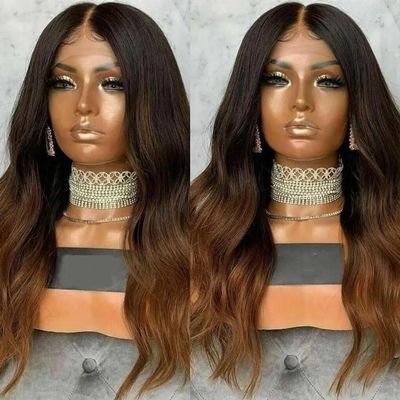 Anisah Remy Glueless Two Tone Colored Transparent Lace Human Hair Wig Brazilian ombre lace front wig human hair (20 Inch, lace front wig)