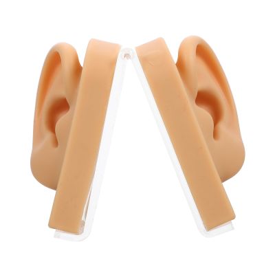 DOITOOL Realistic Silicone Ear Model for Piercing Practice Lightweight Display Stand for Jewelry Acupuncture Training and Ear Cleaning Exercises Right Left