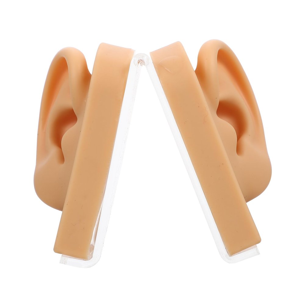 DOITOOL Realistic Silicone Ear Model for Piercing Practice Lightweight Display Stand for Jewelry Acupuncture Training and Ear Cleaning Exercises Right Left