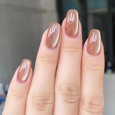CEWEWP Brown Press-on Nails, 24pcs, Square Shape, Glossy, Cat Eye Holographic Design, Autumn-inspired Decoration