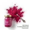 Beetroot Powder- Best for Skin, Hair & Health | Superfood | 100% Natural| Free from Preservaties & Artificial Color | Rich in antioxidants, Dietary Fiber, Calcium, Iron | Glass Jar 150 GM view 3