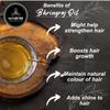 Naturevibe Botanicals Bhringraj Oil 32 Ounces | 100% Pure and Natural | Great for Skin Care and Hair Care view 3