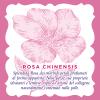 Acqua alle Rose Acqua Micellare Lenitiva per Pelli Sensibili 200 ml view 3