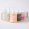 MERSEA Moisturizing Liquid Hand Soap in Large Pump Bottle, Summer in Provence (16 fl oz) view 3