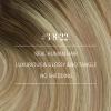 YoungSee Hair Extensions Weft Ombre Sew in Extensions Walnut Brown Ombre Light Brown with Blonde Balayage Double Weft Human Hair Extensions for Long Hair 22Inch 100G view 2
