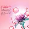 Clarins Multi-Active Renewing Night Moisturizer with Niacinamide | Smooth Fine Lines | Visibly Tighten Pores | Even Tone and Texture | Boost Glow | Strengthen Moisture Barrier | Dry Skin Type view 3