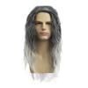 Baruisi Long Curly Wavy Grey Wigs for Men Synthetic Natural Party Halloween Cosplay Hair Wig view 1