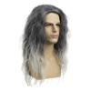 Baruisi Long Curly Wavy Grey Wigs for Men Synthetic Natural Party Halloween Cosplay Hair Wig view 2