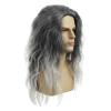 Baruisi Long Curly Wavy Grey Wigs for Men Synthetic Natural Party Halloween Cosplay Hair Wig view 4