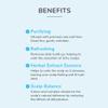AMAXY Sea Salt Scalp Exfoliating Scrub | Remove Build Up, Dirt, Oil - Refreshes Oily Scalps - Reduce Flakes & Calm Itchiness - Silicon & Paraben Free - for Oily Scalp, Men and Women - 9.8 oz view 4