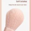 10PCS Makeup Brushes with Bag Professional Makeup Brushes Set Soft Brush Head Makeup Brushes Tools Makeup Brush Set (Color : B, Size : O) view 3