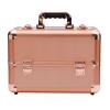 CKSEKD Portable Makeup Train Box, High Security Lockable Makeup Storage Box With Sliding Tray With Divider, Multifunctional Large Capacity Makeup Artist Storage Box,Pink view 1