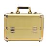 CKSEKD Portable Makeup Train Box, High Security Lockable Makeup Storage Box With Sliding Tray With Divider, Multifunctional Large Capacity Makeup Artist Storage Box,Gold view 1