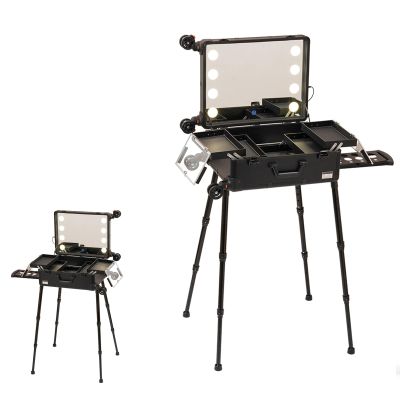 Makeup Train Case Professional Cosmetics Rolling Organizer Aluminum Frame and Folding Trays, Large Storage Cosmetic Trolley, Makeup Box with Mirror for Makeup Artist, Makeup Tools (Size : B(with shel