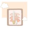2 in 1 Foundation + Anti-Wrinkle Concealer, Liquid Foundation Makeup Stick With Built-in Brush, Double Head, Long Lasting Waterproof Coverage Make-up for Coverage (1set) view 2