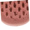 Angoily 1pcs Supple Bath Sponge Reusable Body Scrubber for for Showers and Bathing Absorbs Liquid for Rich Foams Cute Brown view 3