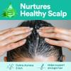 ATAMAZE 500 ml Pure Aloe Vera Gel for Hair and Skin, Hydrating & Non-Sticky, Soothes Scalp and Skin, No Strong Scent, Lightweight & Fast-Absorbing Pure Aloe Vera Gel for Body, glass bottle. view 4