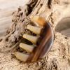 BAWHO Natural Yak Horn Wide Tooth Comb Head Meridian Scalp Massage Comb Eye Skin Care Acupuncture Gua Sha Spa Beauty Tool 1Pcs view 4