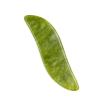 MOBYAT Jade Stone Gua Sha Scraper Massage Board Face Massager Natural Gouache Healing Stone for Skin Lifting Detox Beauty Care 1Pcs (Color : Leaf-Shaped) view 1