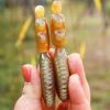 BAWHO Gua Sha Beauty Stick Natural Horn Scraping Brush Skin Lifting Acupuncture Massager Puffiness Relief Guasha Massage Tools 1Pcs view 4