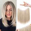 REECHO Invisible Wire Hair Extensions with Thinner Softer Lace Weft 12" Short Straight Clips in Secret Hairpiece for Women 12 Inch (Pack of 1) - Honey Blonde with Highlights view 1