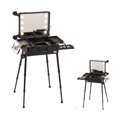 Makeup Train Cases, Rolling Makeup Case Cosmetic Travel Trolley, Professional Makeup Cosmetic Cases Organizer Box, Cosmetic Case for Makeup Trays with Mirror Travel Cosmetic Organizer (Size : B(with