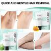 Hair Removal Cream: Intimate/Private Hair Removal For Women & Men - Painless Depilatory Cream Lotion for Bikini, Legs, Arms, Underarms and Body, Sensitive Formula for All Skin Types, 5FL OZ view 3