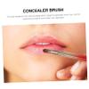 balacoo 4pcs Double Sided Retractable Lip Brush Makeup Tool for Eyes Versatile Cosmetic Brush Lip Wands for Women view 3