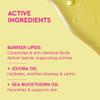BYOMA Nourishing Body Oil - For All Skin Types - Lightweight, Fast-Absorbing Body Oil with Jojoba & Seabuckthorn - Hydrates, Brightens & Restores Skin Barrier - 6.76 fl oz view 4